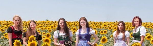 Sonnenblumen